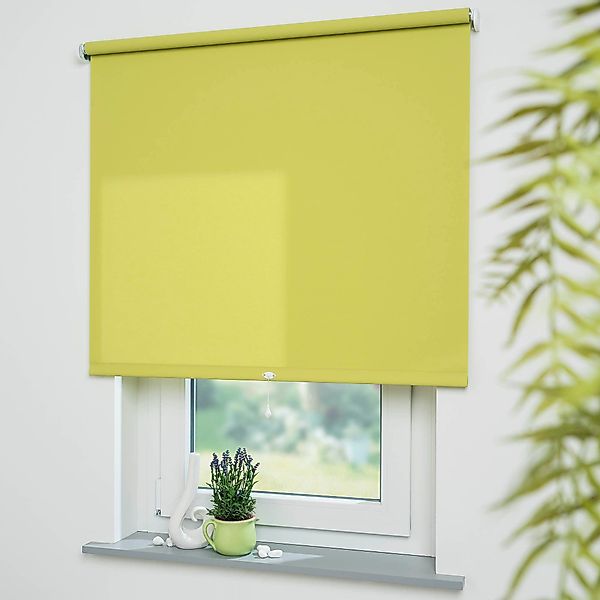Springrollo Uni, Liedeco, Lichtschutz, freihängend, verschraubt, günstig online kaufen