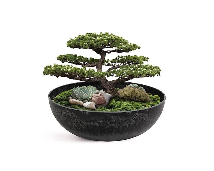 matches21 HOME & HOBBY Blumentopf Pflanzschale für draussen Dekoschale rund günstig online kaufen