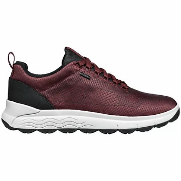 Geox  Sneaker U Spherica 4X4 B Abx sneaker günstig online kaufen