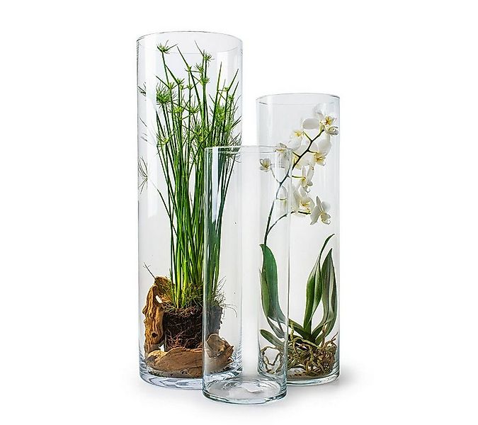 GlasArt Bodenvase Glas-Vase, Glasvase, Dekovase Klarglas, Zylinder gerade, günstig online kaufen