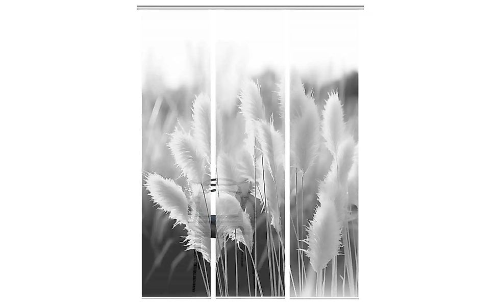 Vision Schiebegardine "DINORA 3ER SET" Paneelwagen 3 Stk. tlg. SET SCHIEBEV günstig online kaufen