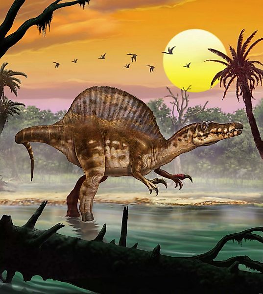 KOMAR Vlies Fototapete - Spinosaurus - Größe 250 x 280 cm mehrfarbig günstig online kaufen
