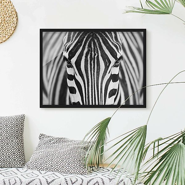 Bild mit Rahmen Tiere - Querformat Zebra Look günstig online kaufen