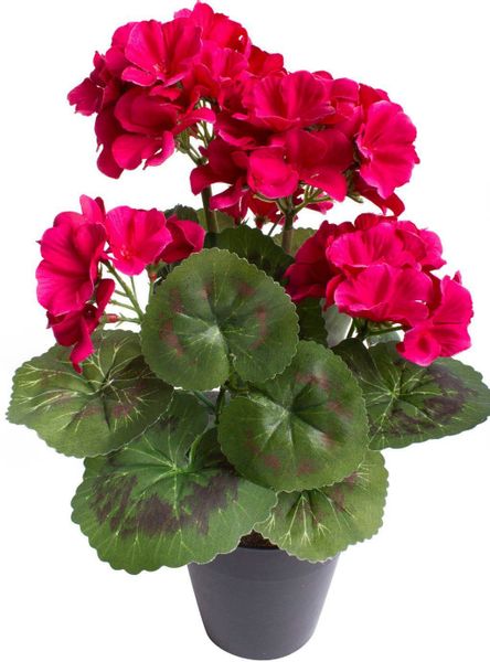 Botanic-Haus Kunstblume "Geranienbusch mit 6 Blütenköpfen" günstig online kaufen