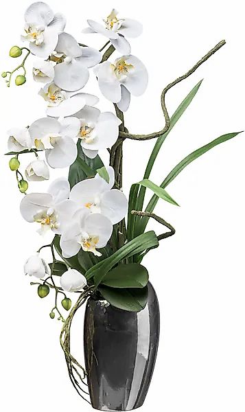 Creativ green Kunstorchidee »Orchidee Phalaenopsis«, mit real-touch-Blüten günstig online kaufen