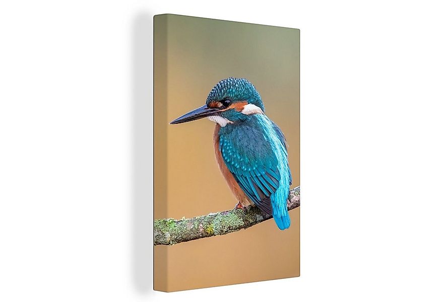 OneMillionCanvasses® Leinwandbild Vogel - Eisvogel - Tiere - Zweig, Fotodru günstig online kaufen