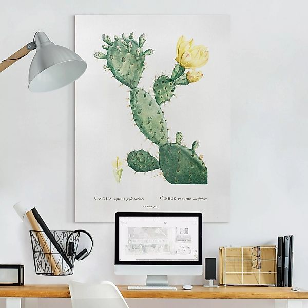 Leinwandbild Botanik Vintage Illustration Kaktus mit gelber Blüte günstig online kaufen