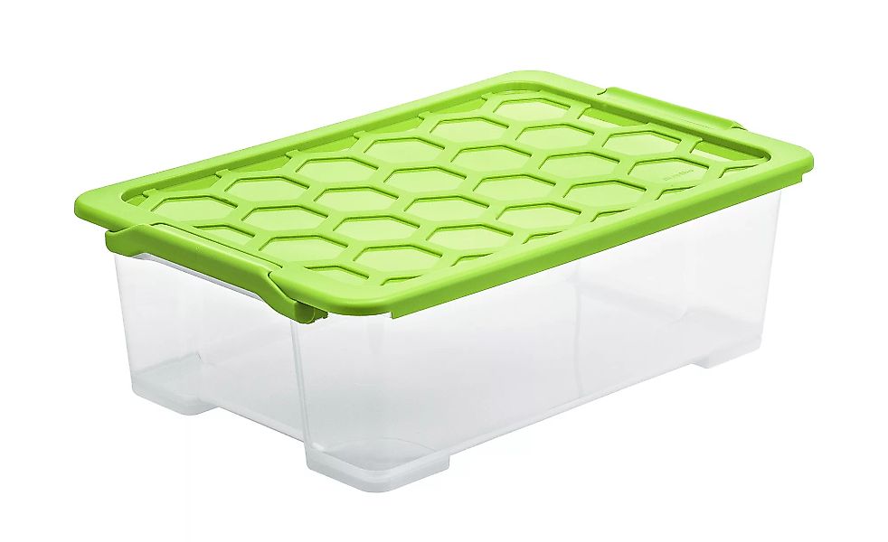 Rotho Aufbewahrungsbox mit Deckel - grün - Kunststoff - 39,5 cm - 18,5 cm - günstig online kaufen