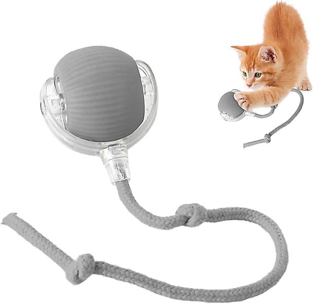 RWEUOQ Tier-Intelligenzspielzeug Katzen- und Hundespielzeug, Interaktives günstig online kaufen