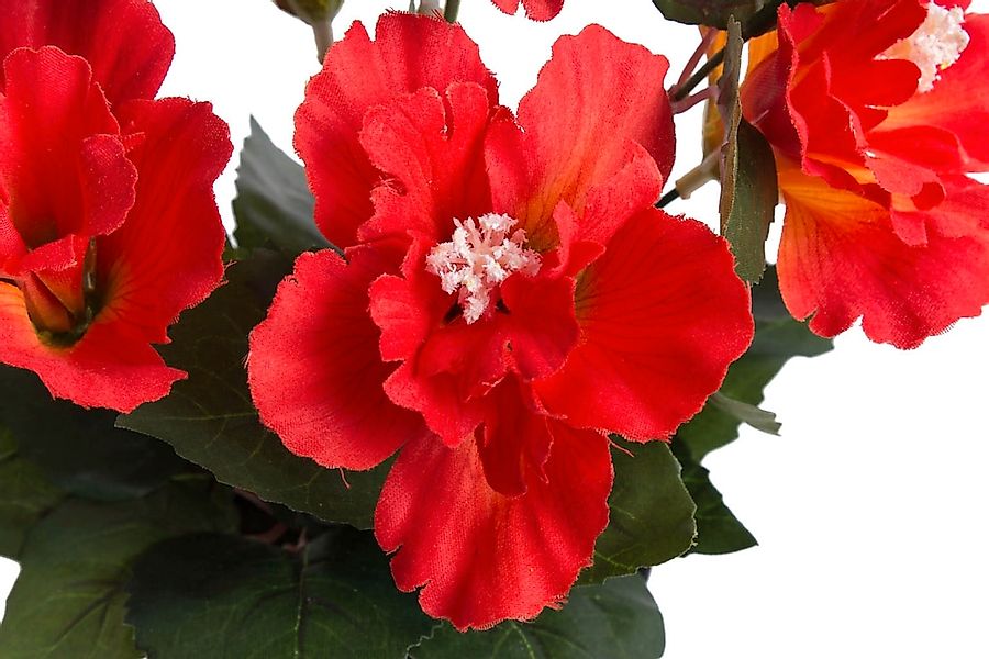 Botanic-Haus Kunstblume "Hibiskus im Topf" günstig online kaufen