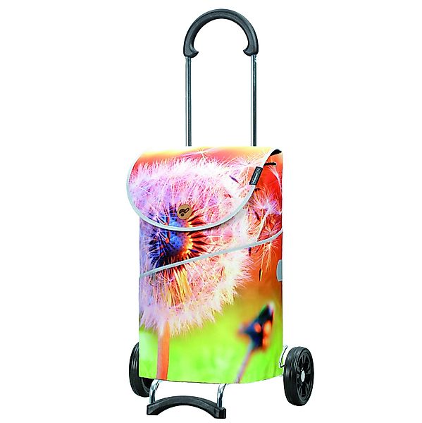 Andersen Einkaufstrolley Scala Shopper MIX A13, günstig online kaufen
