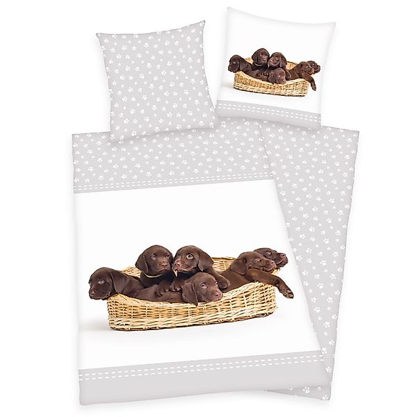 Herding Kinderbettwäsche Herding Bettwäsche mit Hund günstig online kaufen