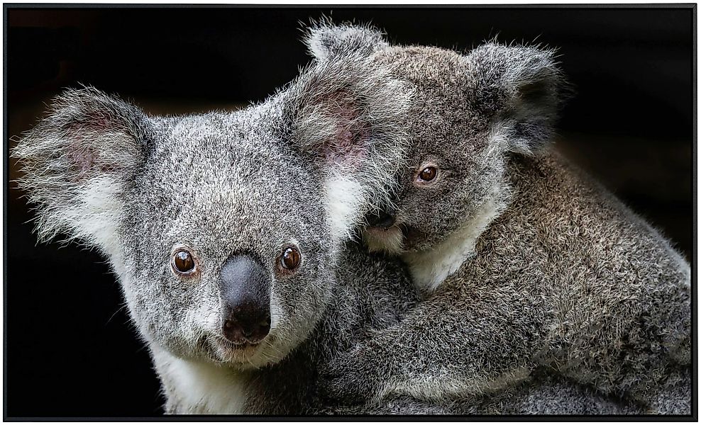 Papermoon Infrarotheizung »Koala Mutter und Joey« günstig online kaufen