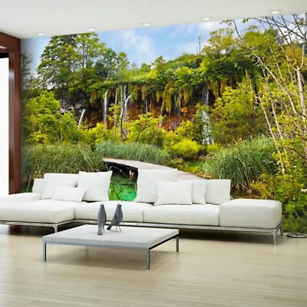 artgeist Fototapete Green oasis braun/grün Gr. 300 x 210 günstig online kaufen