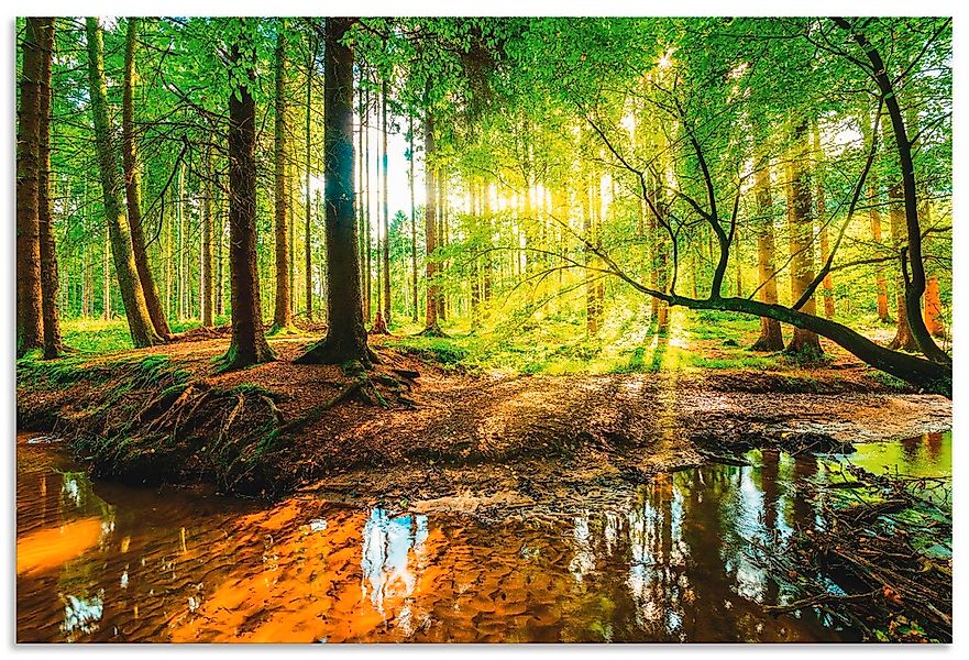 Artland Wandbild "Wald mit Bach" Wald 1 Stk. tlg. als Alubild, Leinwandbild günstig online kaufen
