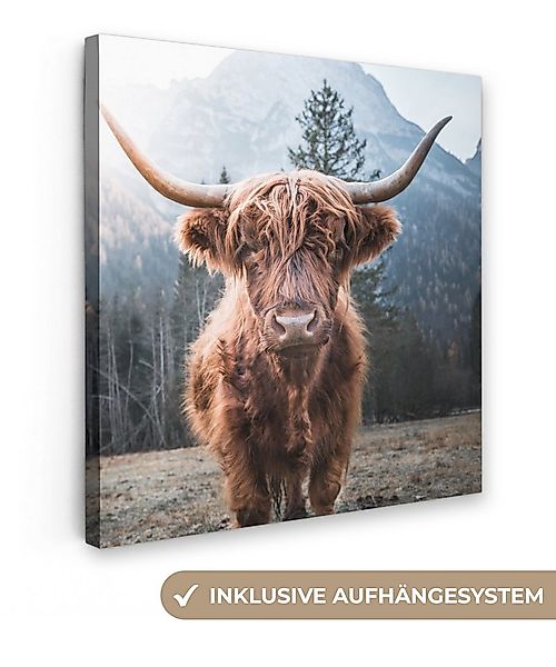 OneMillionCanvasses® Leinwandbild Schottischer Hochländer - Kuh - Tiere - B günstig online kaufen