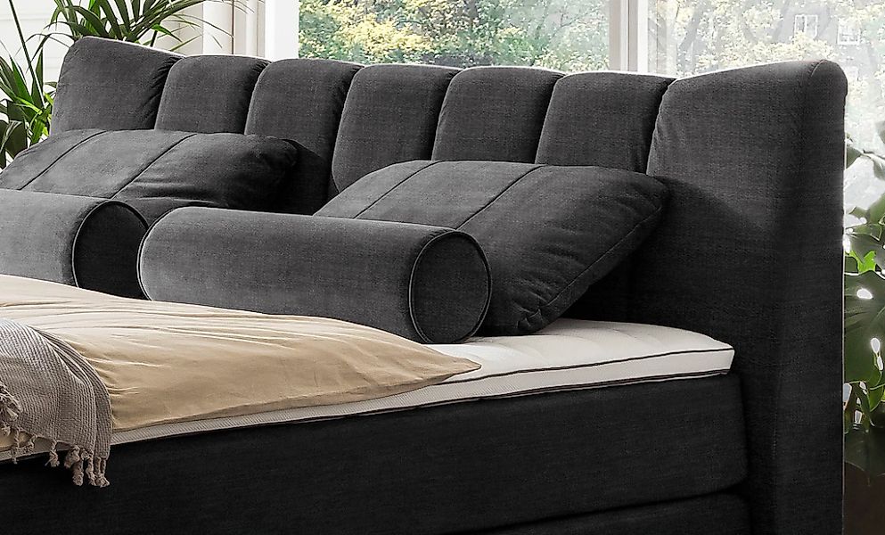 Leonique Dekokissen "Océane" passend zum Bett Oceáne in Samtvelours und Fei günstig online kaufen