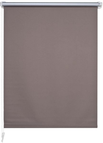 Seitenzugrollo, Liedeco, verdunkelnd, ohne Bohren, Klemmfix günstig online kaufen