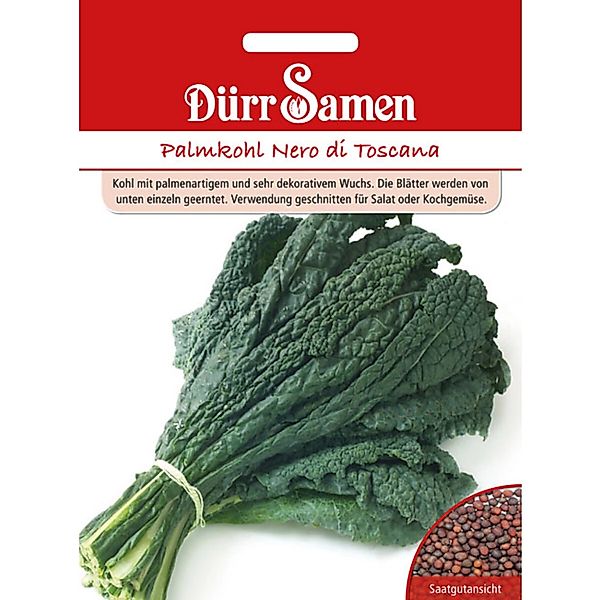 Dürr Samen Palmkohl Nero Di Toscana Saatgut günstig online kaufen