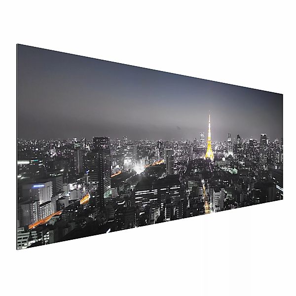 Alu-Dibond Bild - Panorama Tokio günstig online kaufen