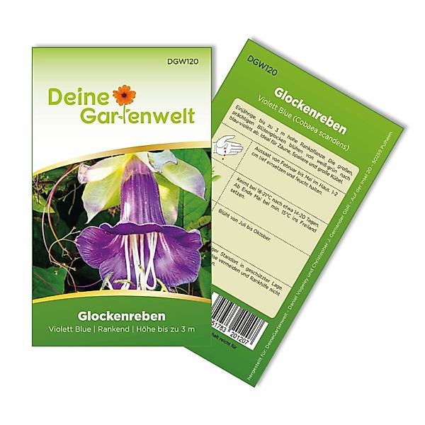 Deine Gartenwelt Glockenrebe Violett Blue Samen günstig online kaufen