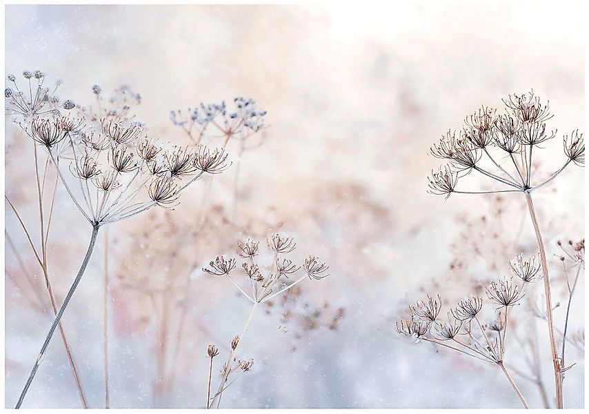 Wallarena Fototapete Wildblumen Natur Wiese Vlies Tapete Wohnzimmer Schlafz günstig online kaufen