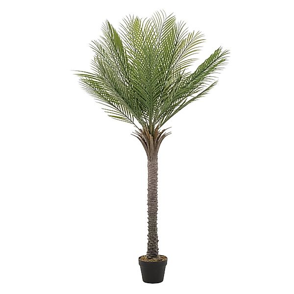 ML-Design Künstliche Palme 150 cm Groß Tropische Kunstpalme im Topf günstig online kaufen