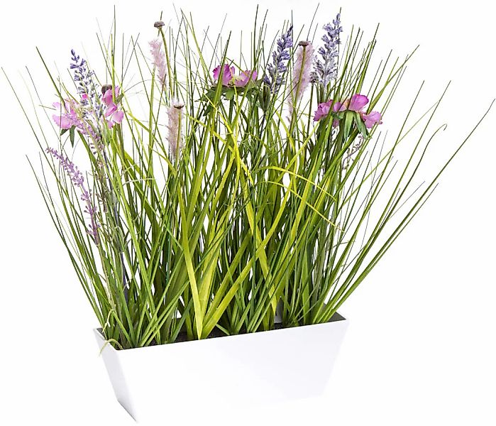 Botanic-Haus Kunstblume "Wiesenblumen im Kunststofftopf" günstig online kaufen