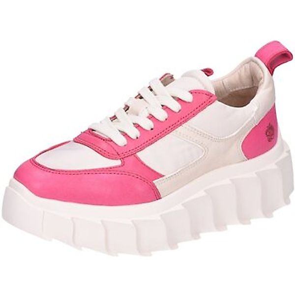 Apple of Eden BLAIR Sneaker günstig online kaufen