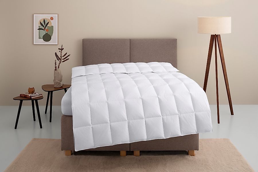 Home affaire Daunenbettdecke »Marseilles Bettdecke 135x200 cm und 155x220 c günstig online kaufen