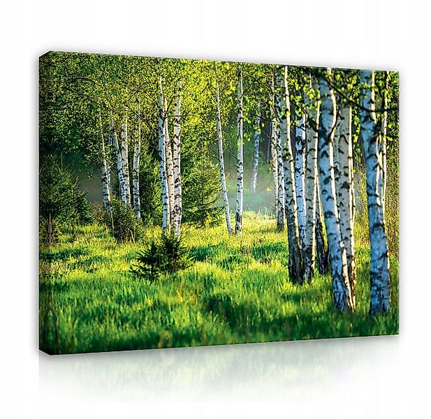 Wallarena Leinwandbild Wald Birkenwald Natur Grün Wandbild Groß XXL Deko Wa günstig online kaufen