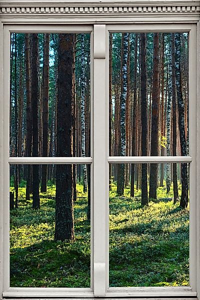 queence Wandsticker "Wald", Wandsticker, Wandbild, selbstklebend, 3D, Fenst günstig online kaufen
