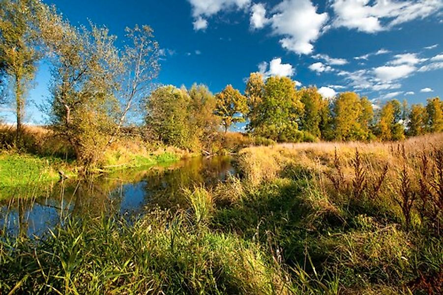 Papermoon Fototapete »Fluss durch Feld« günstig online kaufen