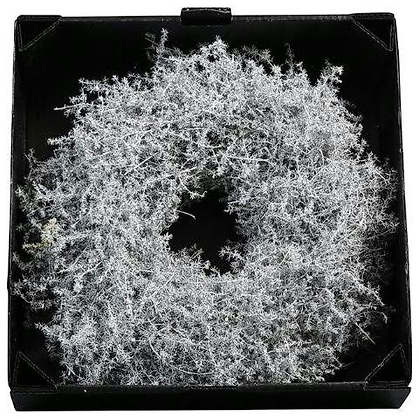 Annimuck Dekokranz Kranz Asparagus 35cm gewachst günstig online kaufen