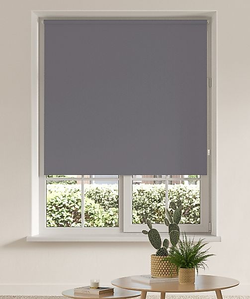Seitenzugrollo THEMSE, my home, abdunkelnd, ohne günstig online kaufen