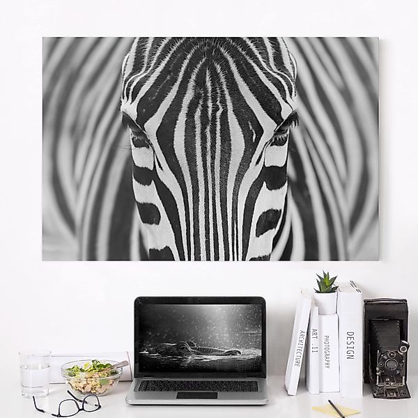 Leinwandbild - Querformat Zebra Look günstig online kaufen