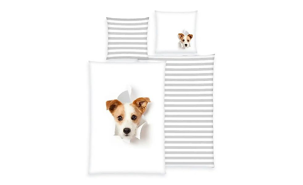 Herding Young Collection Bettwäsche »YC Hund«, mit tollem Motiv günstig online kaufen