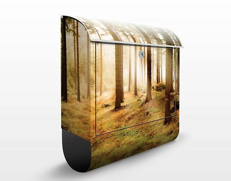 Briefkasten Natur & Landschaft No.CA48 Morning Forest günstig online kaufen