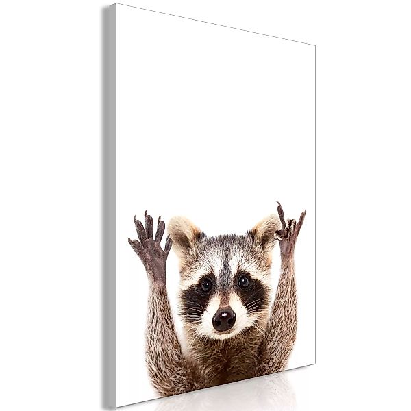 Wandbild - Raccoon (1 Part) Vertical günstig online kaufen