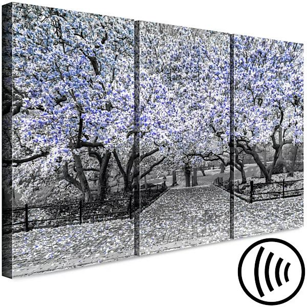 Bild auf Leinwand Blühende Magnolie - Triptychon mit Magnolienbäumen und li günstig online kaufen