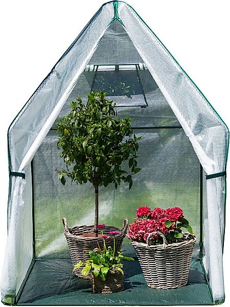 WESTMANN Foliengewächshaus Chili, BxTxH: 120 x 120 x 180 cm, Überwinterungs günstig online kaufen
