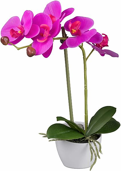 Creativ green Kunstorchidee "Orchidee Phalaenopsis" im Design-Topf günstig online kaufen