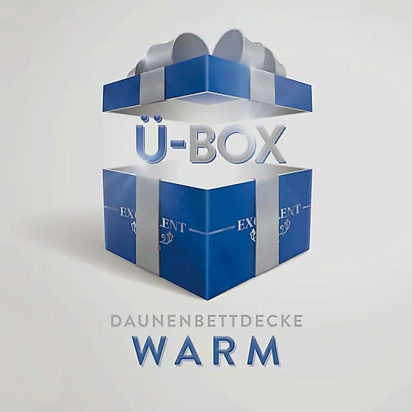 Excellent Daunenbettdecke »Überraschungsbox«, warm, Füllung 90% Daunen, 10% günstig online kaufen