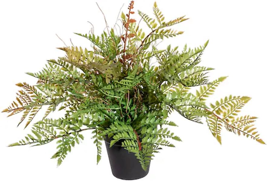 Creativ green Künstliche Zimmerpflanze »Farnbusch« günstig online kaufen