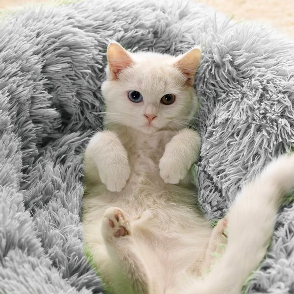 CALIYO Tierbett 60 CM Tierbetten, Katzenbett günstig online kaufen