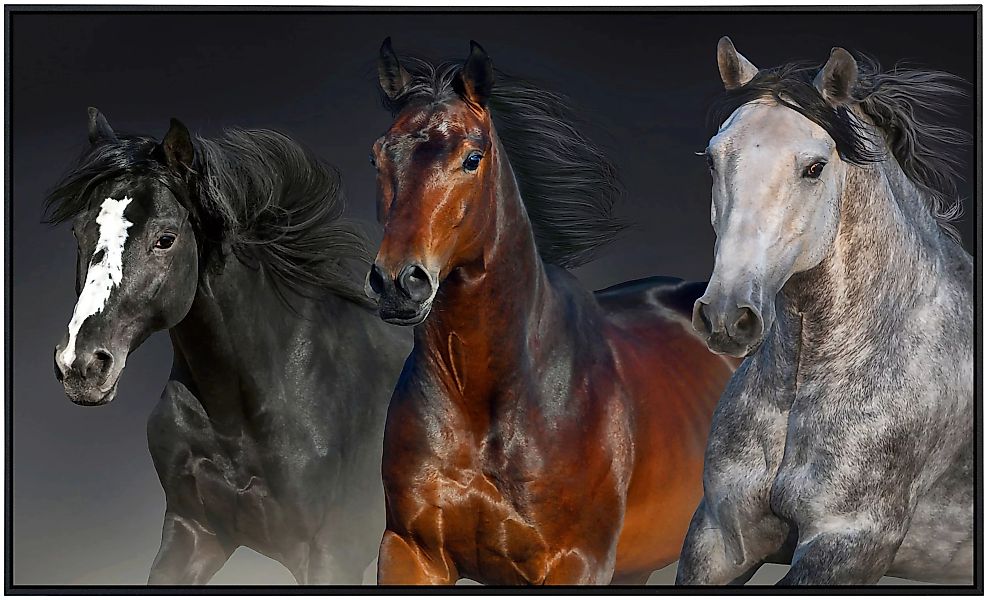 Papermoon Infrarotheizung »Pferdeporträt« günstig online kaufen