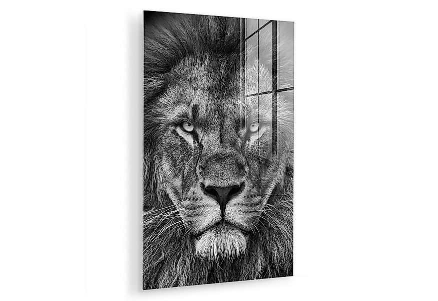 MuchoWow Acrylglasbild Tiere - Löwe - Schwarz - Weiß - Porträt, Inkl. Aufhä günstig online kaufen