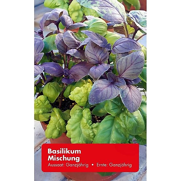 Basilikum Mischung günstig online kaufen