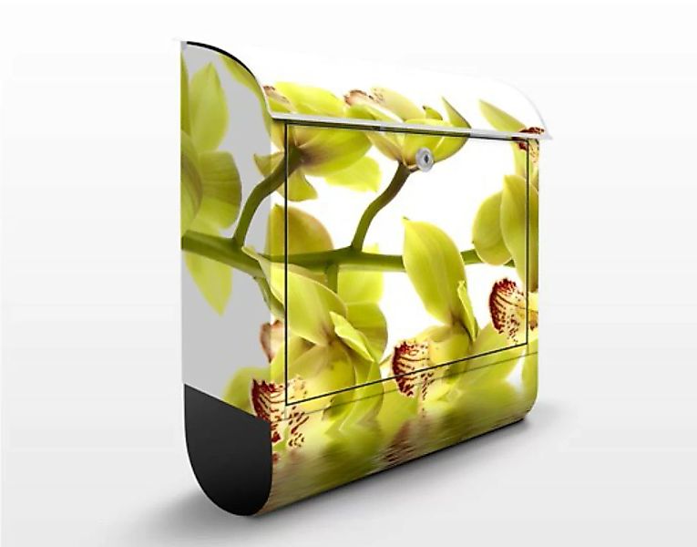 Briefkasten Blumen Splendid Orchid Waters günstig online kaufen
