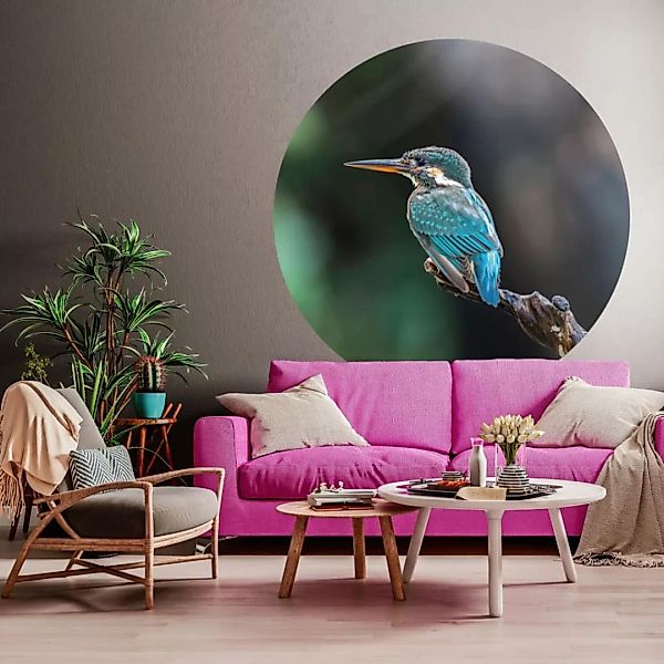 Wallart Fototapete The Kingfisher Rund 142,5 Cm günstig online kaufen
